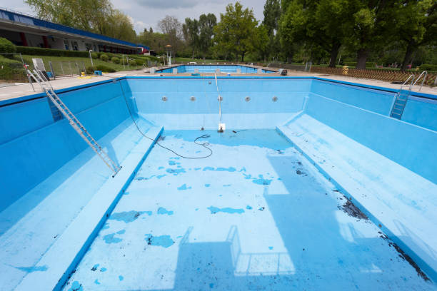 Best Flood damage cleanup  in Vla Park, IL