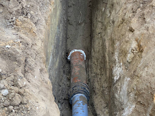 Best Flood restoration services  in Vla Park, IL