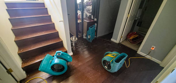 Best Water damage restoration near me  in Vla Park, IL