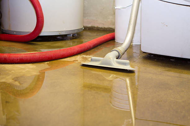 Best Fire Damage Restoration  in Vla Park, IL