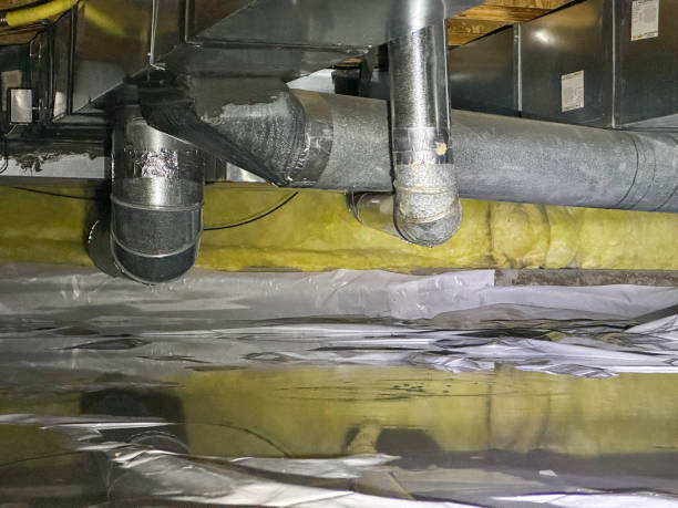 Best Basement water damage restoration  in Vla Park, IL