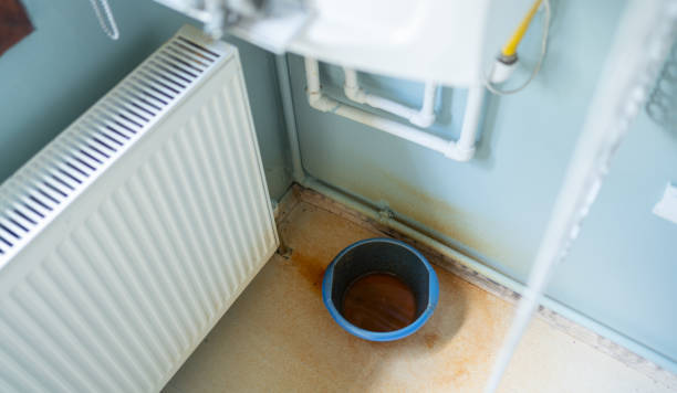 Best Sewage cleanup and water damage restoration  in Vla Park, IL