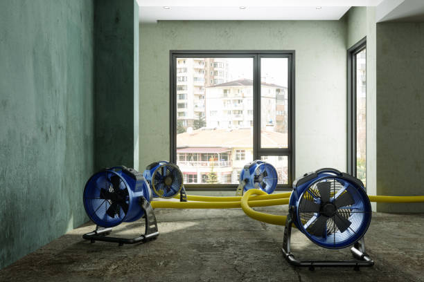 Best Commercial water damage restoration  in Vla Park, IL