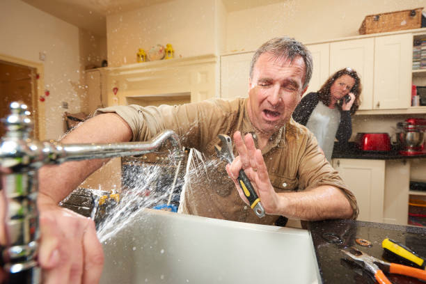 Best 24/7 water damage repair  in Vla Park, IL